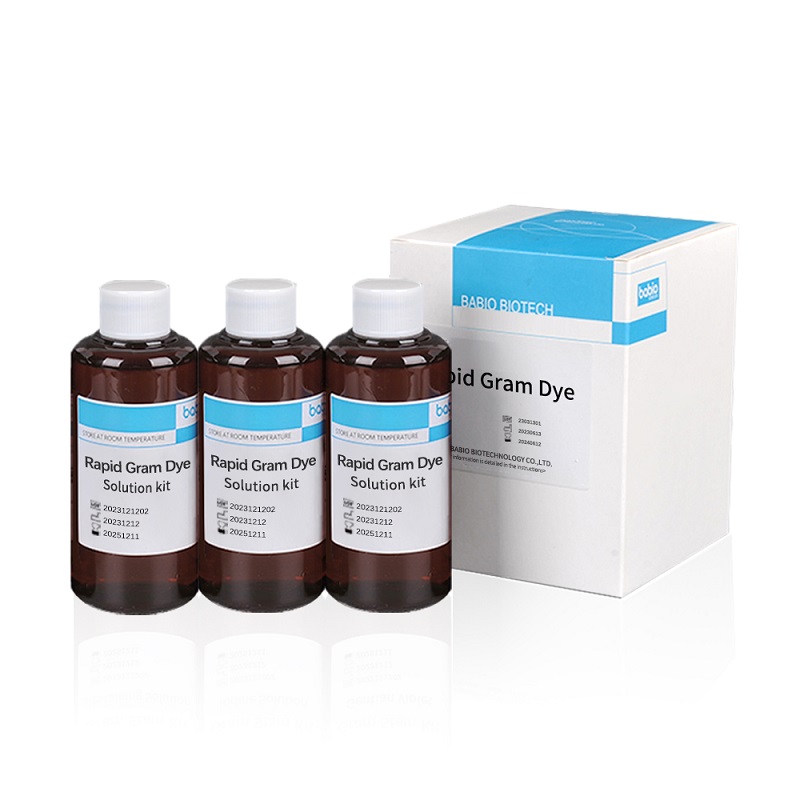 Kit rapid Gram Dye Solution